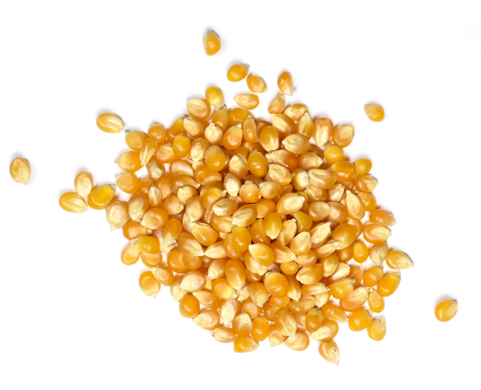Popcorn kernels
